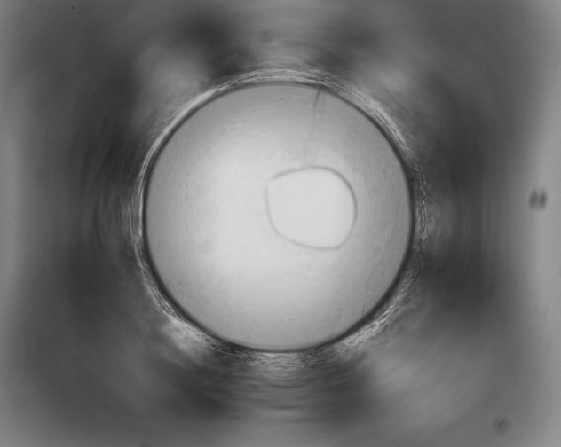 X0000098140844200805011342
