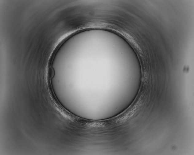 X0000098140846200805011342