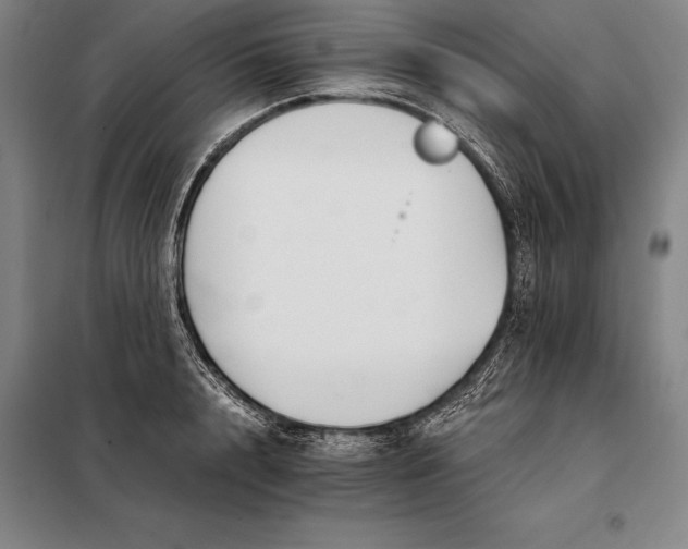 X0000098140848200805011342