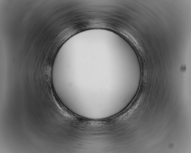 X0000098140849200805011342