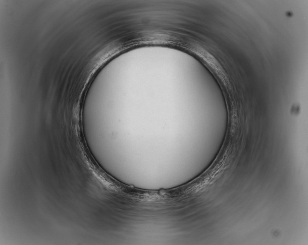 X0000098140850200805011342