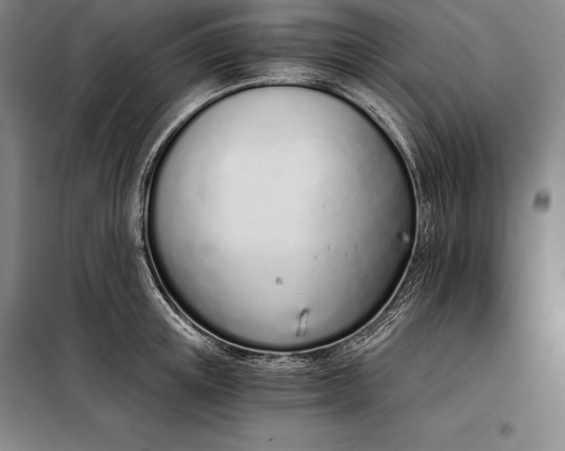 X0000098140851200805011342