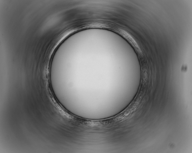 X0000098140852200805011342