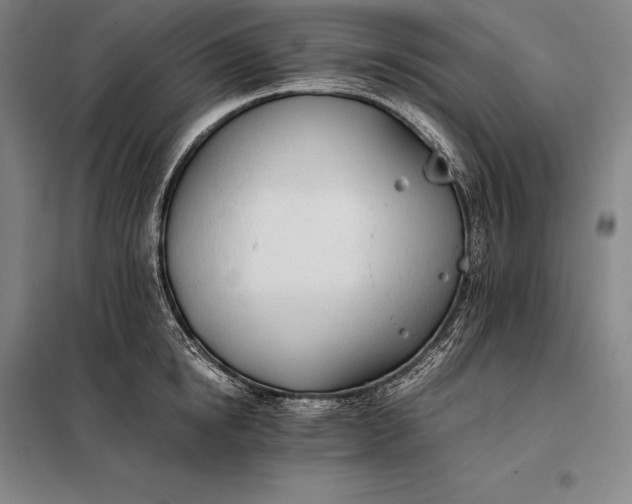 X0000098140854200805011342