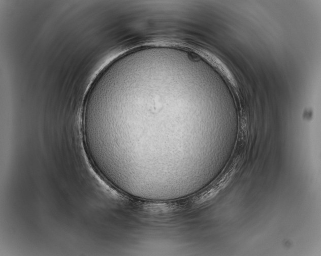 X0000098140855200805011342