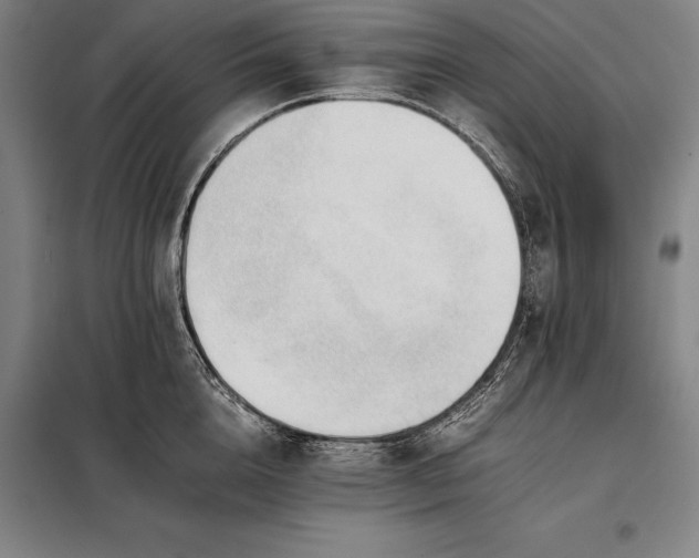 X0000098140856200805011342