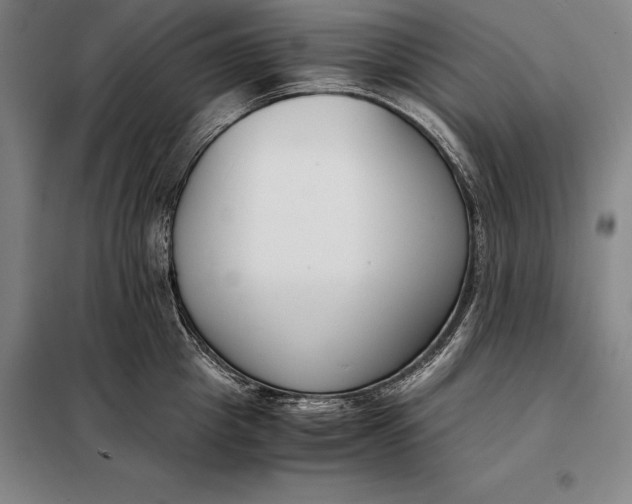 X0000098140857200805011342