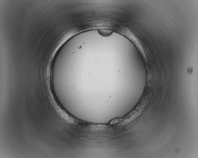 X0000098140859200805011342