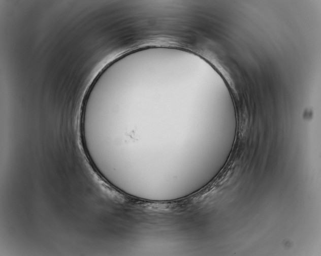 X0000098140861200805011342
