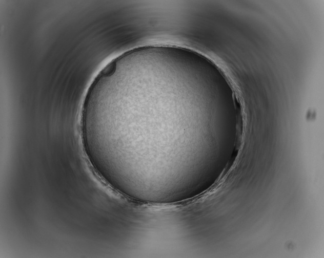 X0000098140864200805011342