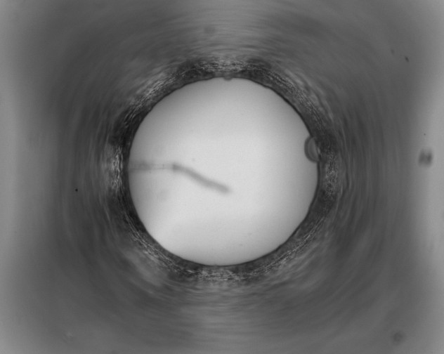 X0000098140866200805011341