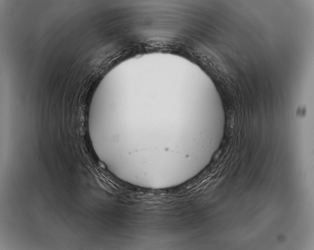 X0000098140868200805011341
