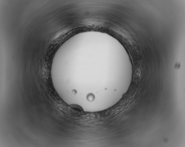 X0000098140869200805011341