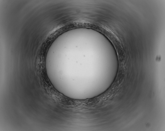 X0000098140870200805011341