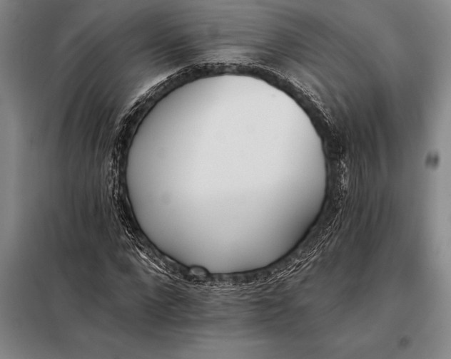 X0000098140872200805011341
