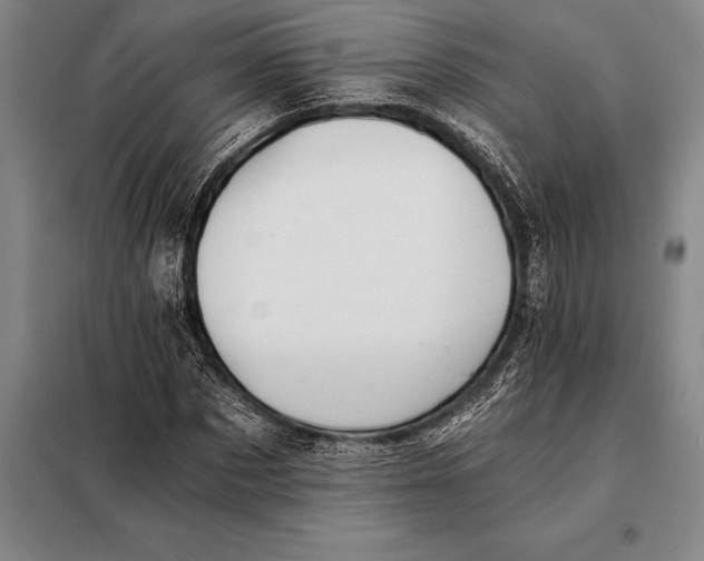 X0000098140873200805011341