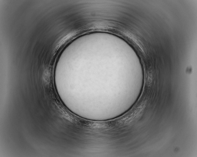 X0000098140874200805011341