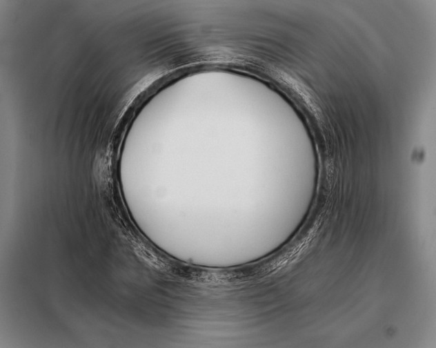 X0000098140875200805011341