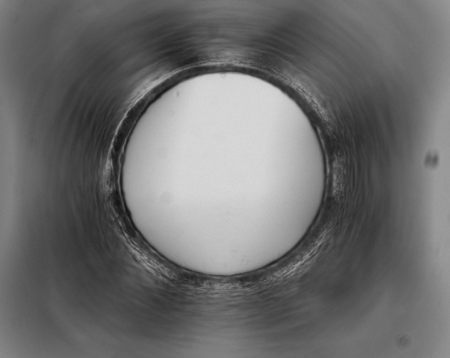 X0000098140876200805011341