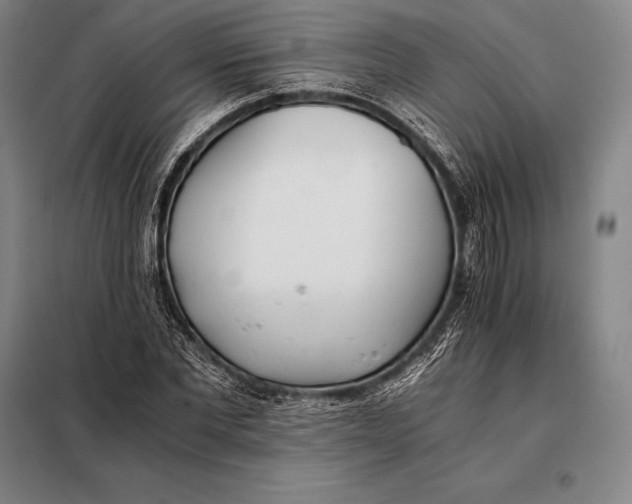X0000098140877200805011341