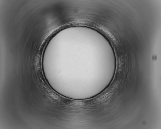 X0000098140878200805011341
