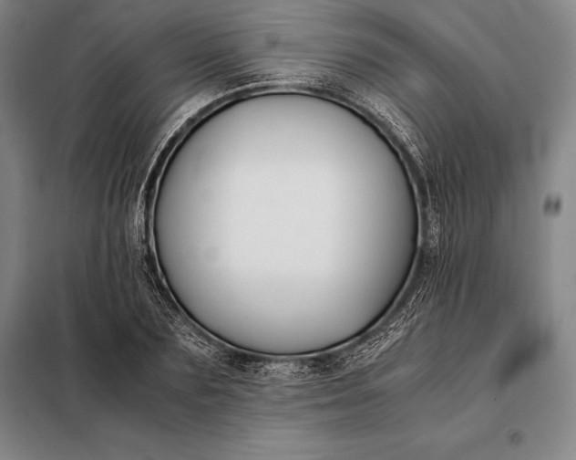 X0000098140883200805011341