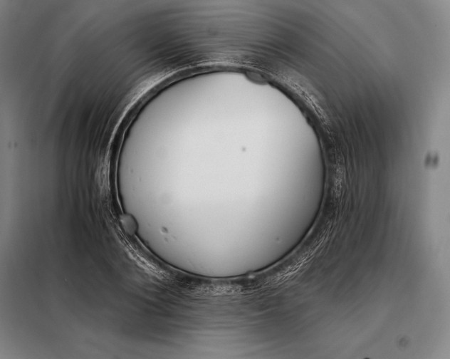 X0000098140884200805011341