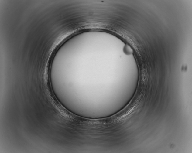 X0000098140885200805011341