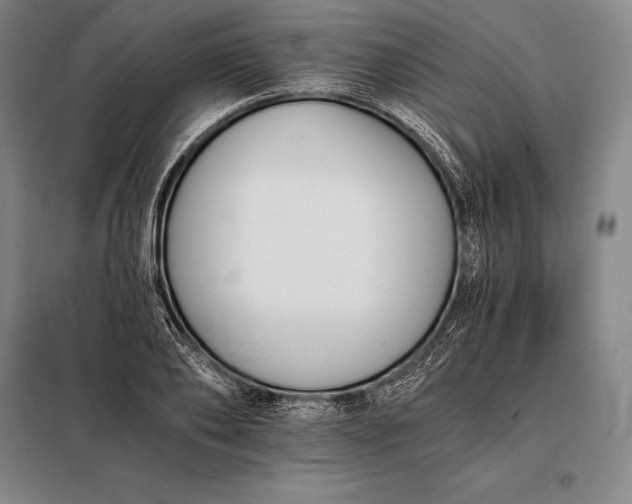 X0000098140886200805011341