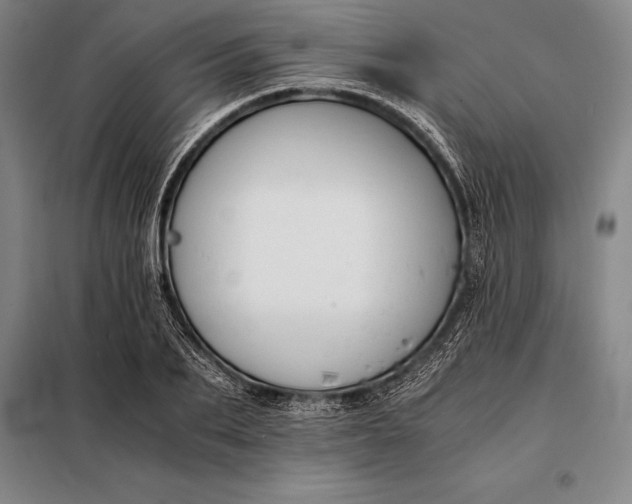 X0000098140887200805011341