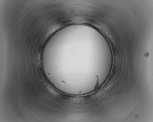 X0000098140889200805011341