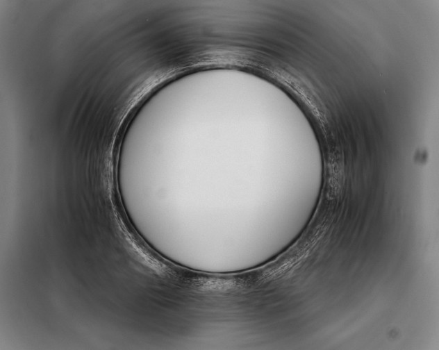 X0000098140890200805011341