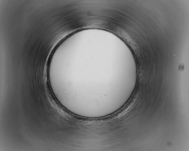 X0000098140892200805011341