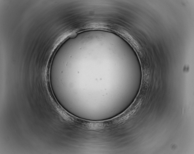 X0000098140893200805011341
