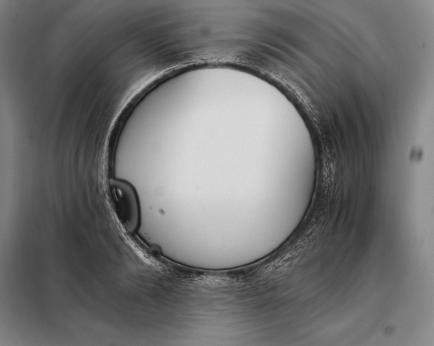 X0000098140894200805011341