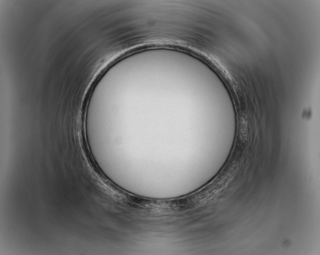 X0000098140895200805011341