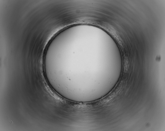 X0000098140896200805011341