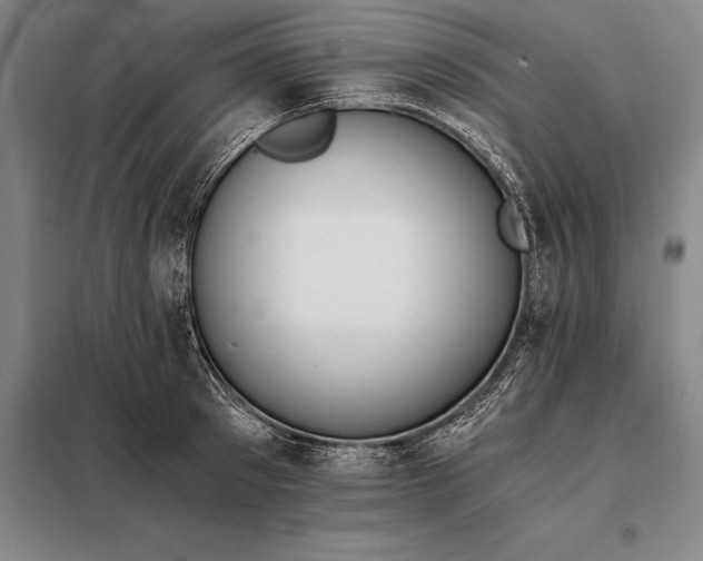 X0000098140897200805011341