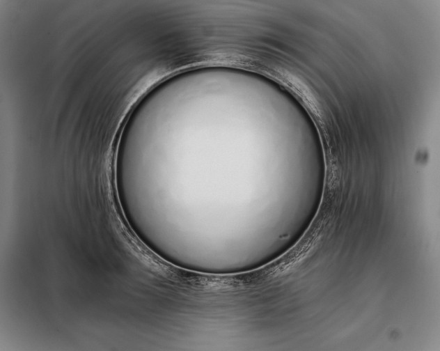 X0000098140899200805011341