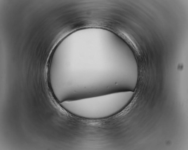 X0000098140900200805011341