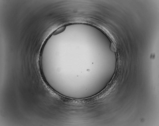 X0000098140901200805011341