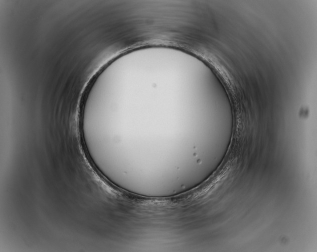 X0000098140902200805011341