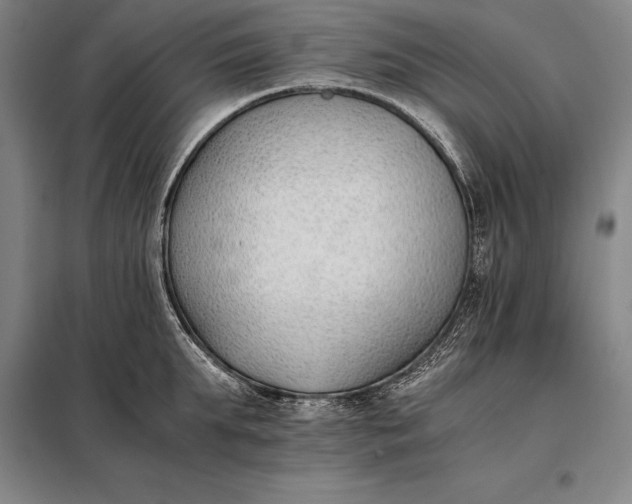 X0000098140903200805011341