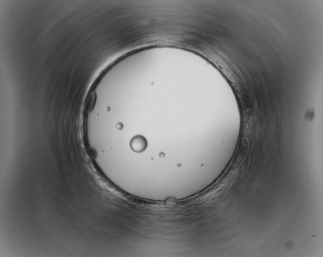X0000098140904200805011341