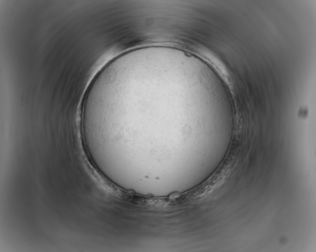 X0000098140907200805011341