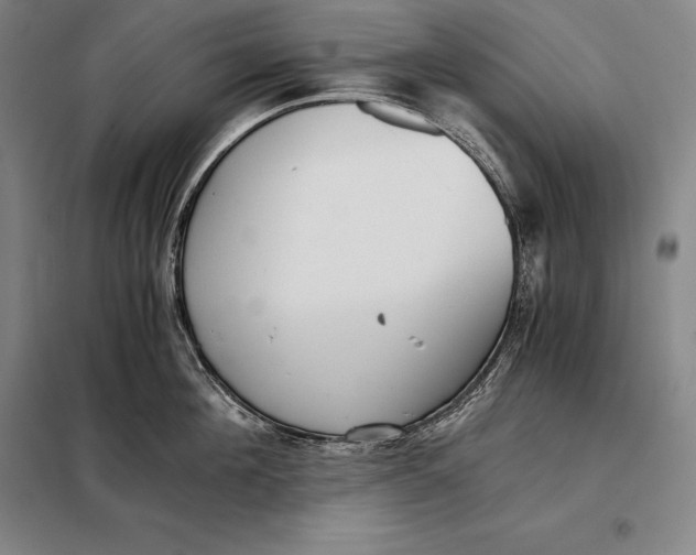 X0000098140908200805011341