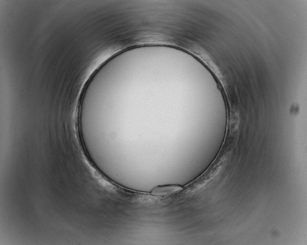 X0000098140909200805011341