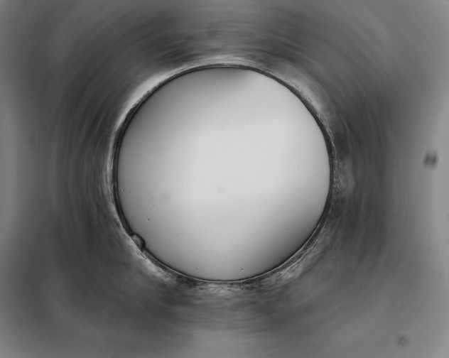 X0000098140910200805011341