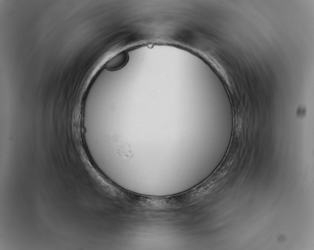 X0000098140911200805011341