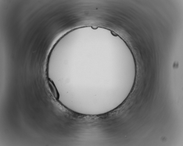 X0000098140912200805011341